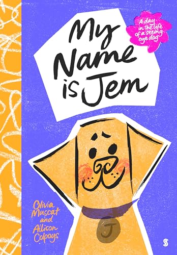 My Name is Jem book cover