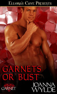 Garnets or Bust book cover