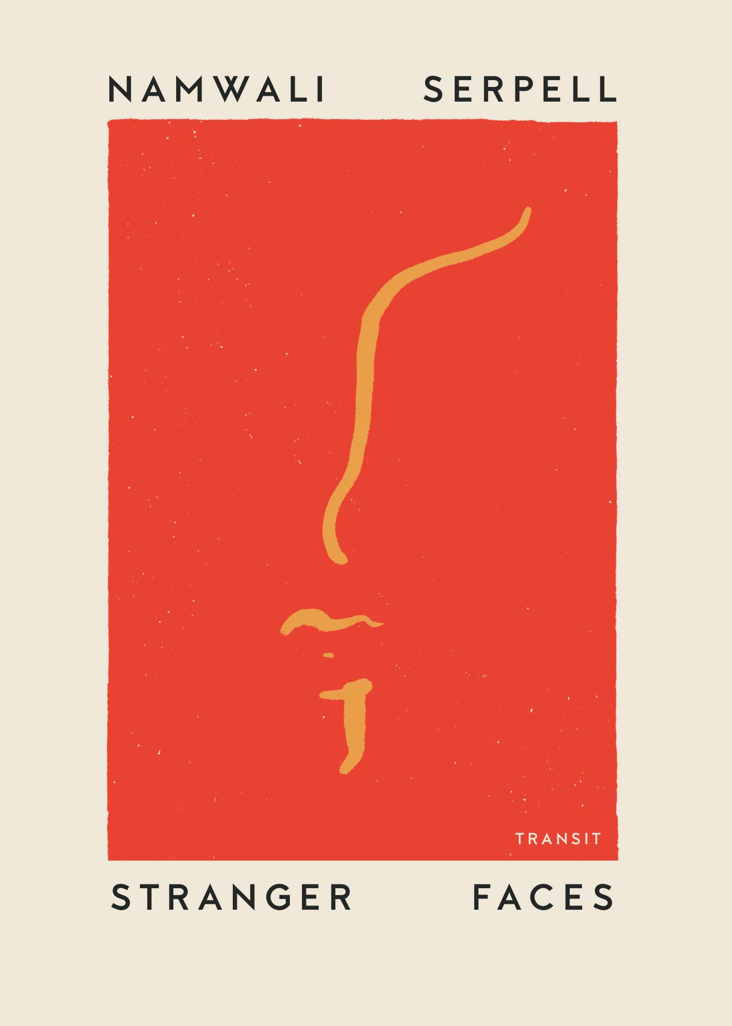 Stranger Faces book cover