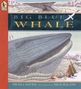 Big Blue Whale book cover