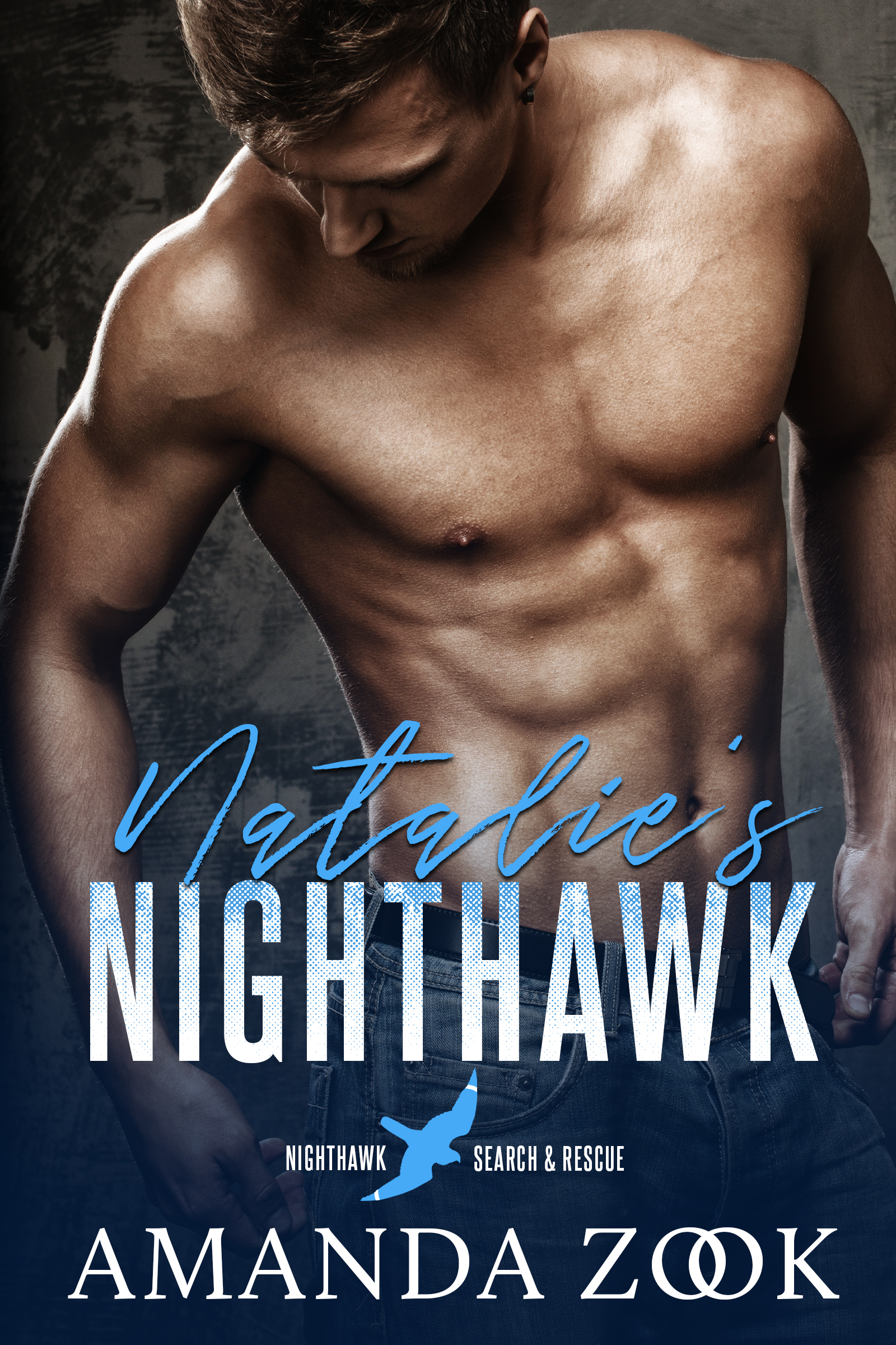 Nighthawk Search and Rescue series book cover 1