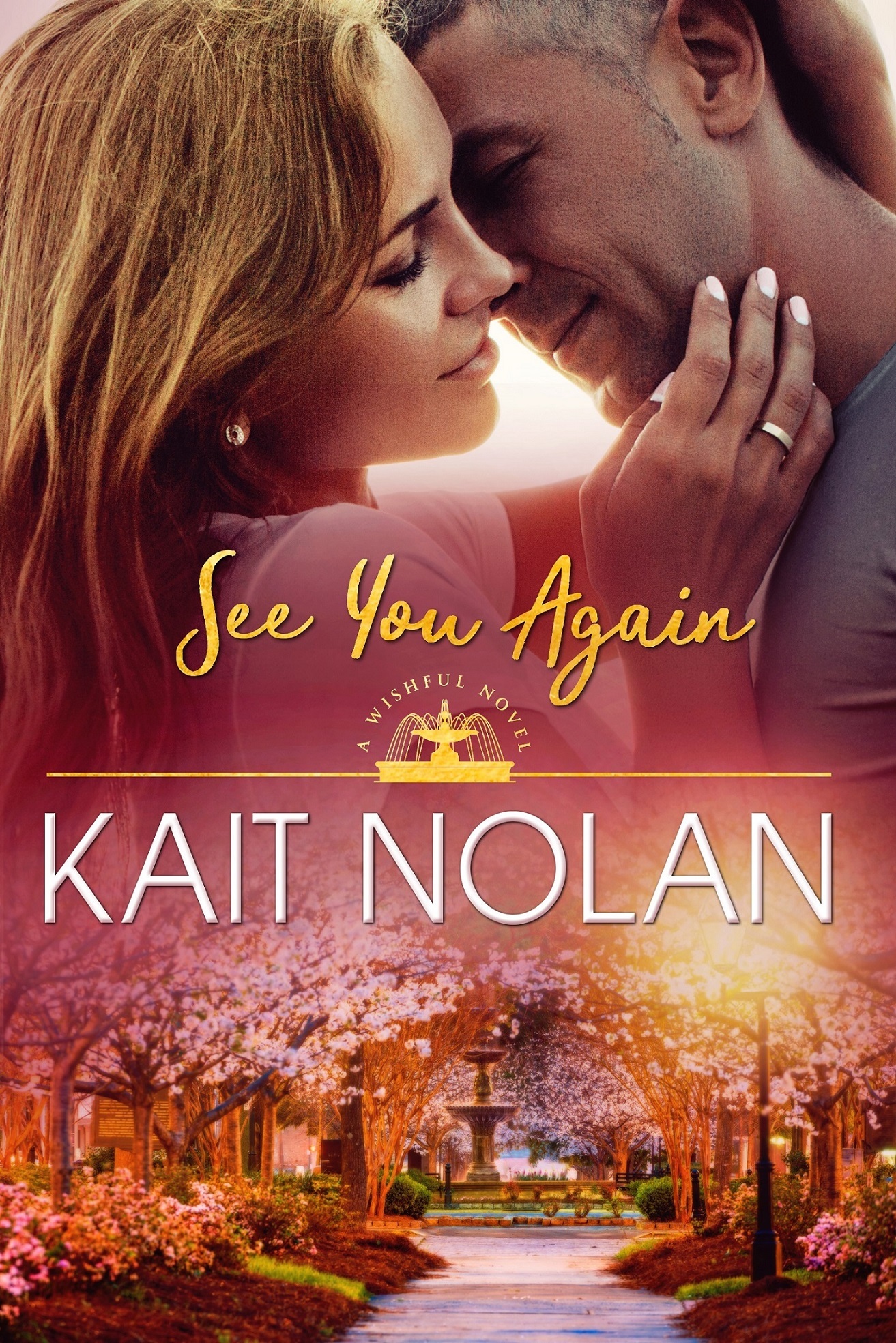 See You Again book cover