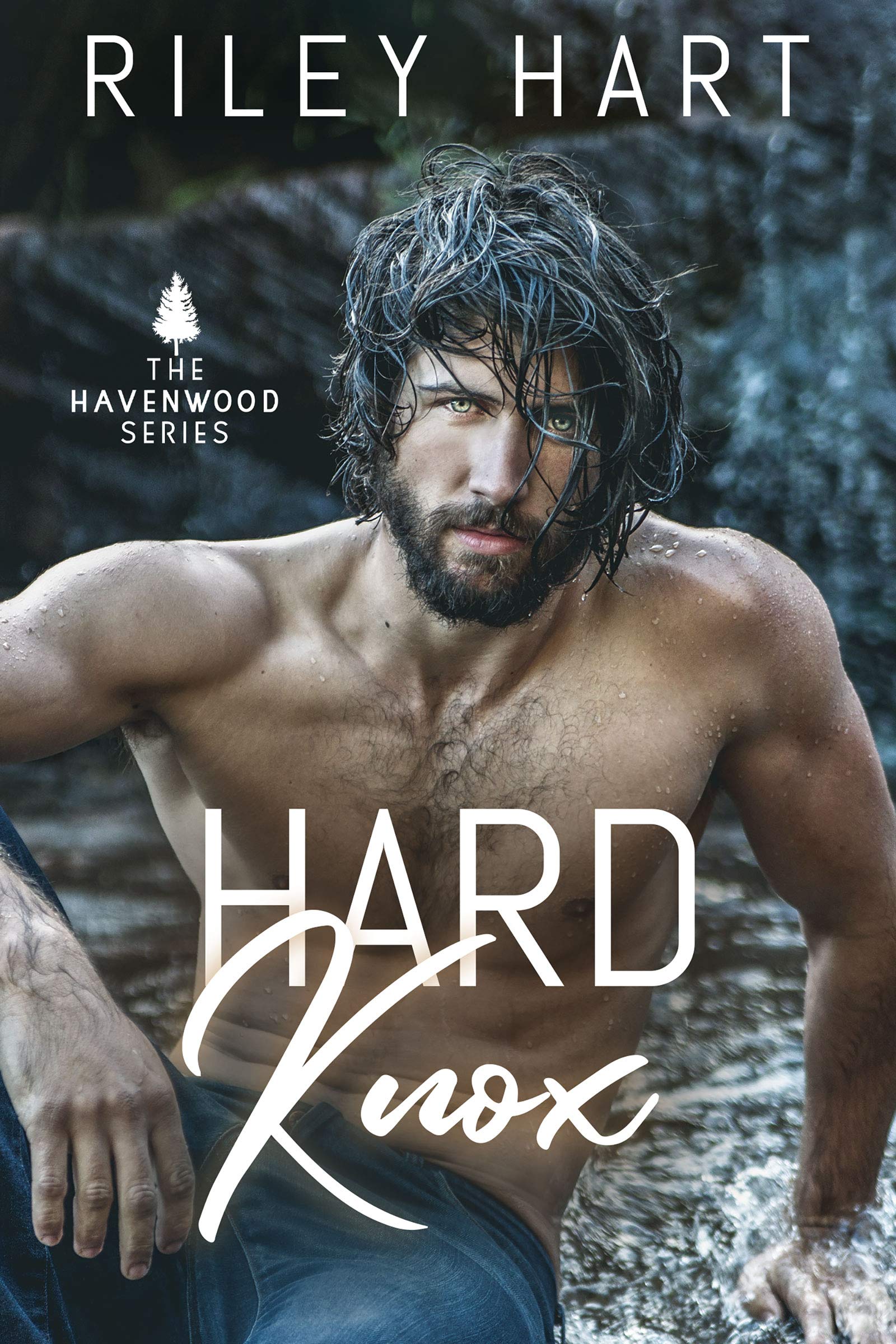 Havenwood book cover 3