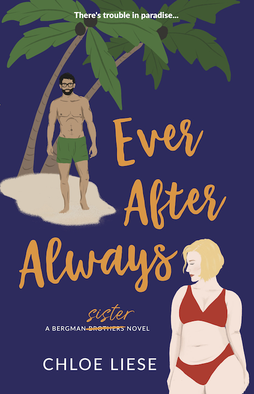 Bergman Brothers book cover 3