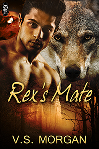 Akio's Assassins book cover 2
