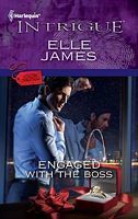 Situation: Christmas book cover 2