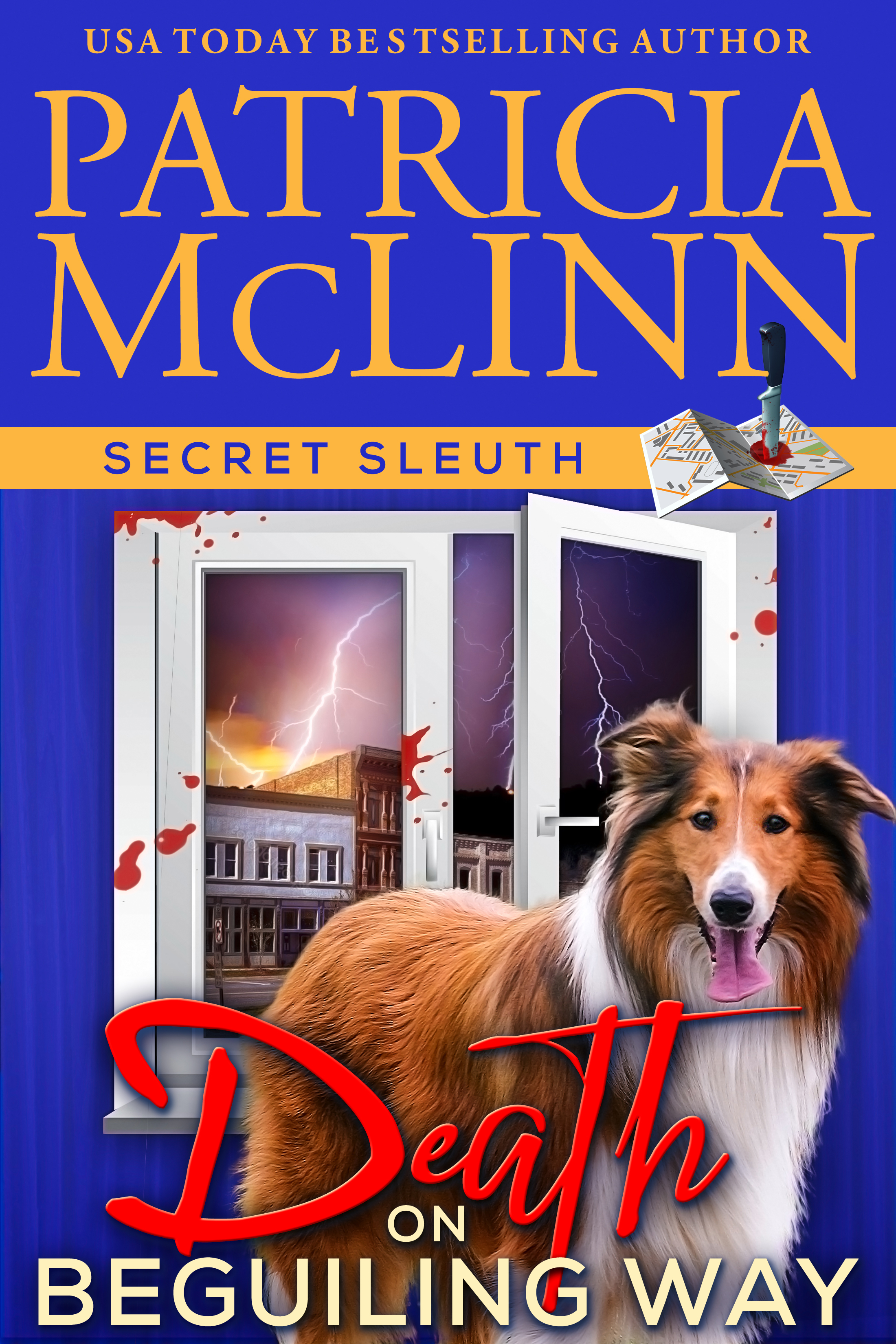 Secret Sleuth book cover 3