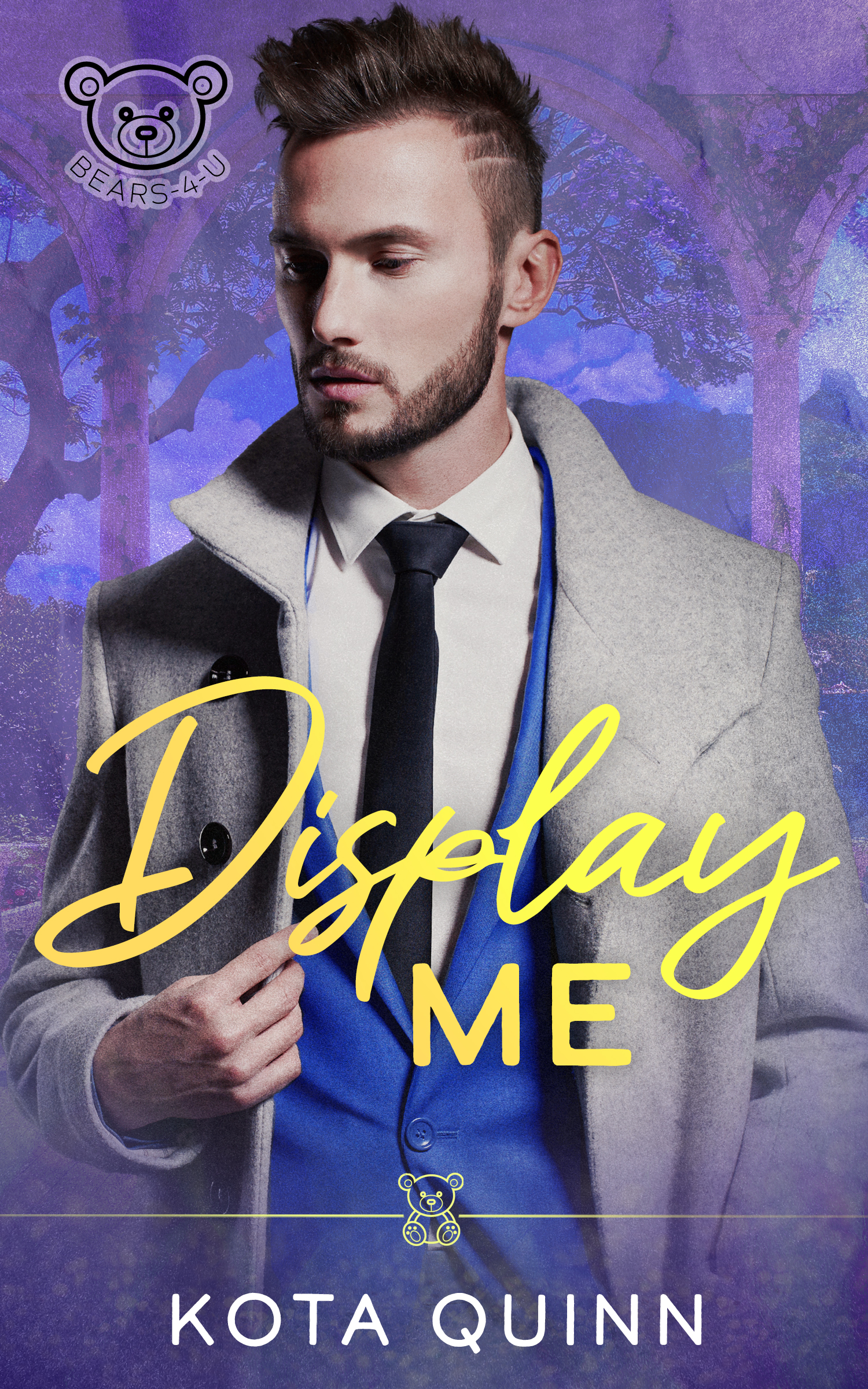 Display Me book cover