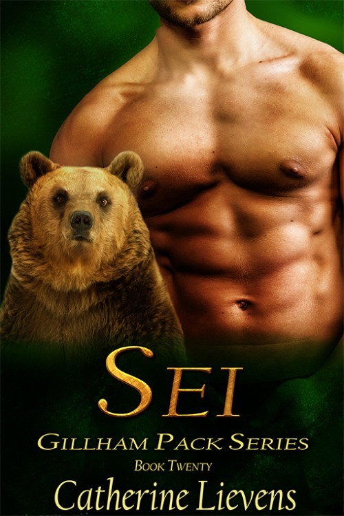 Sei book cover