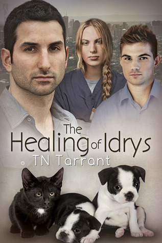 The Healing of Idrys book cover