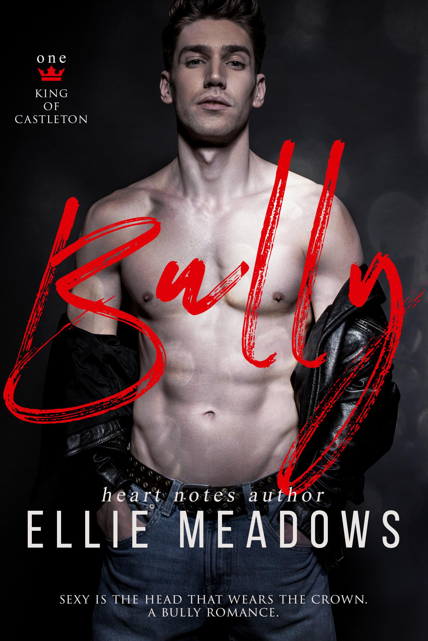 The King of Castleton High book cover 1