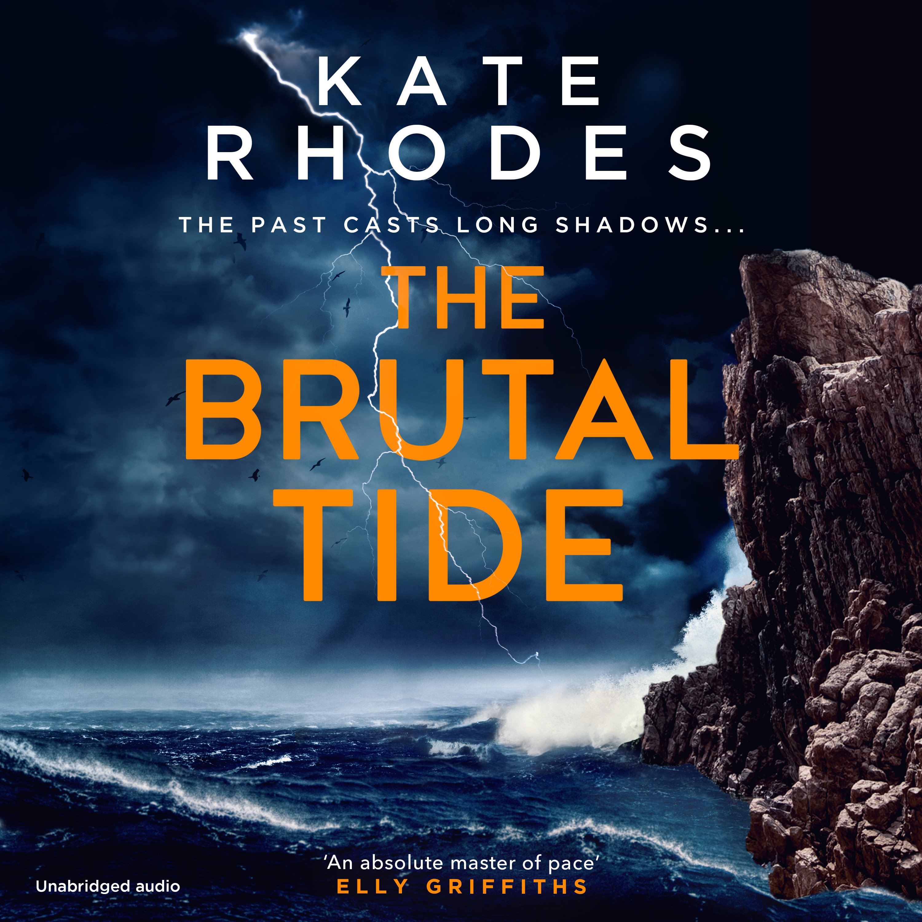 The Brutal Tide book cover