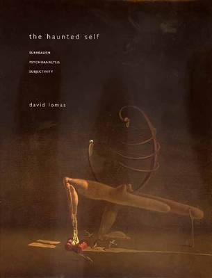 The Haunted Self book cover