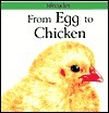From Egg to Chicken book cover