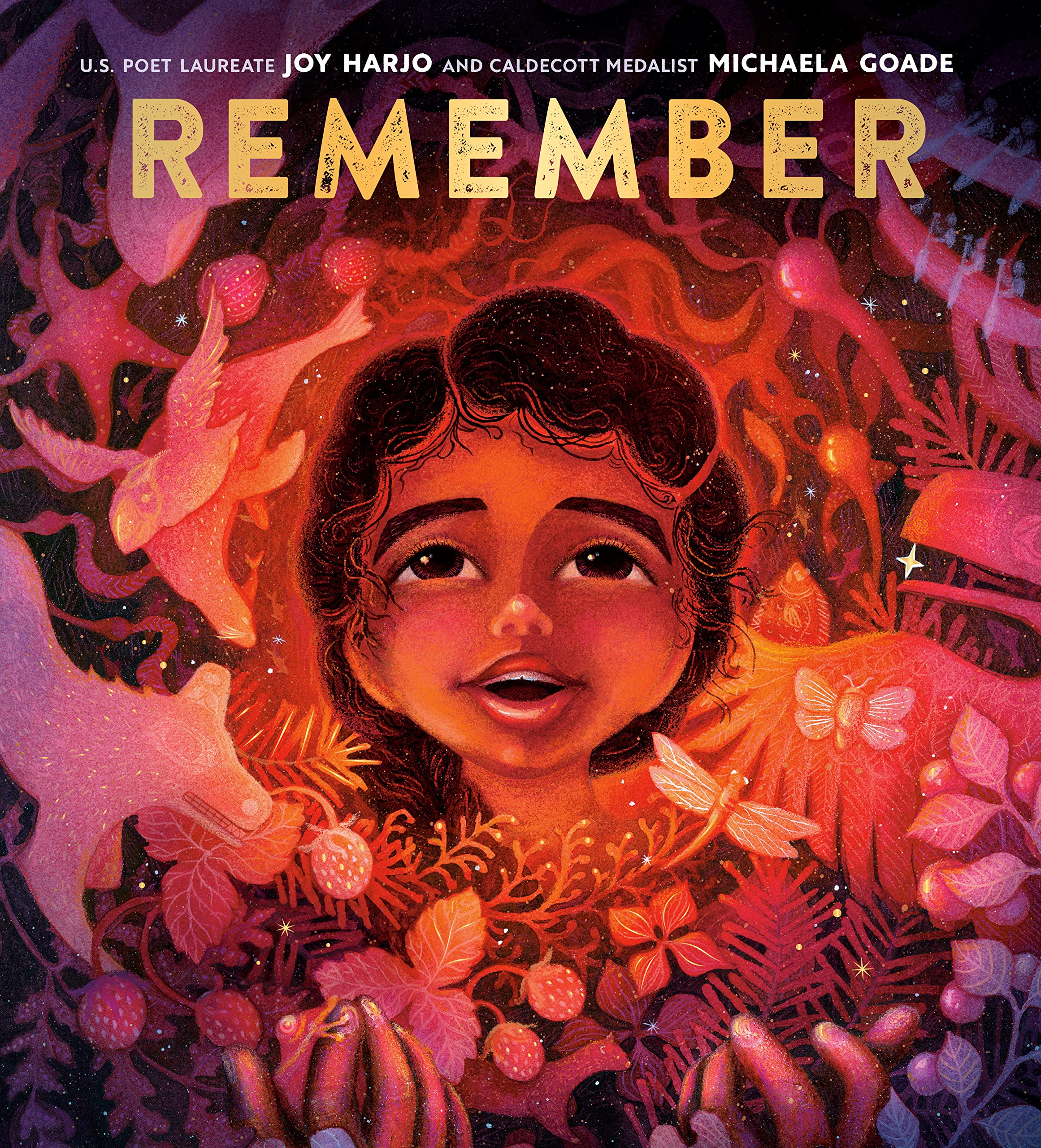 Remember book cover