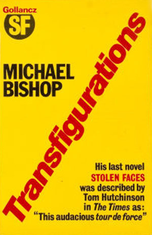 Transfigurations book cover