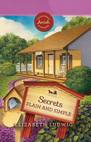 Secrets Plain and Simple book cover
