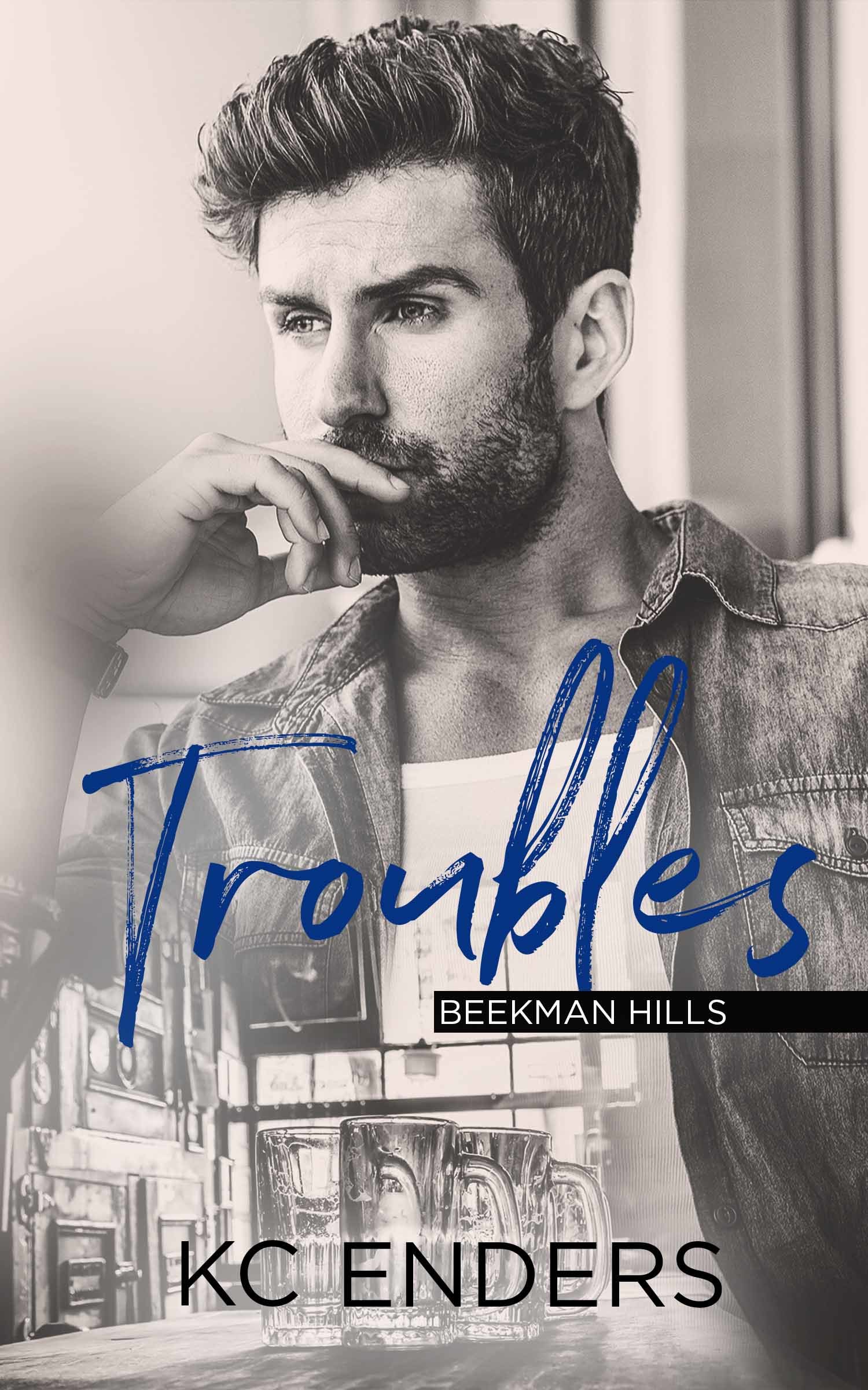 Beekman Hills book cover 1