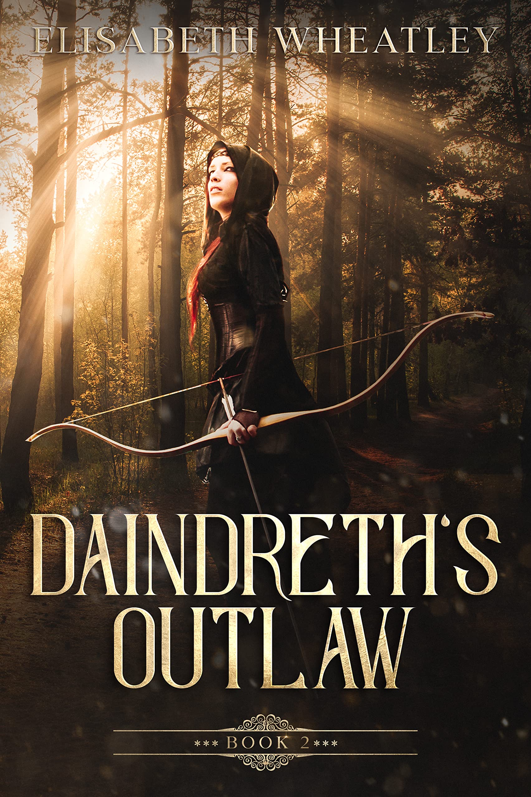 Daindreth's Assassin book cover 2