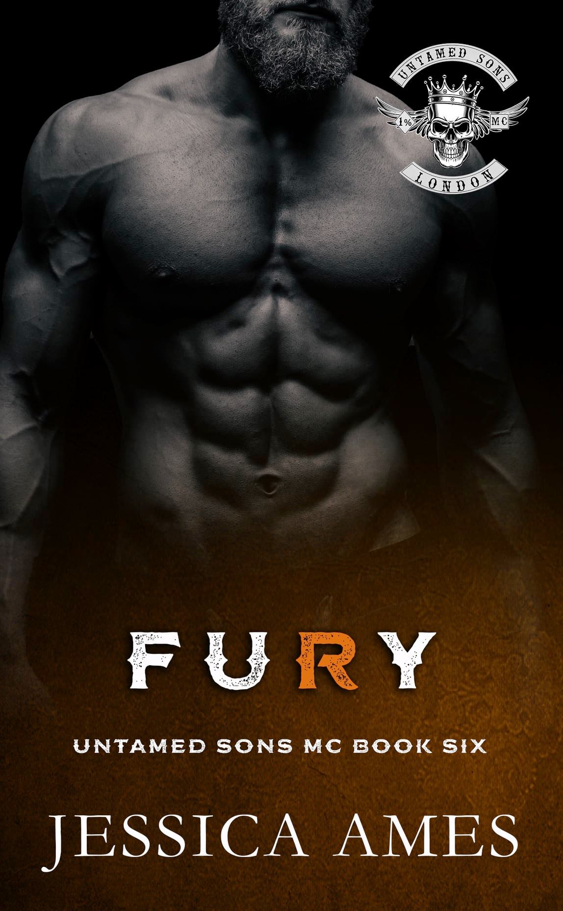 Fury book cover