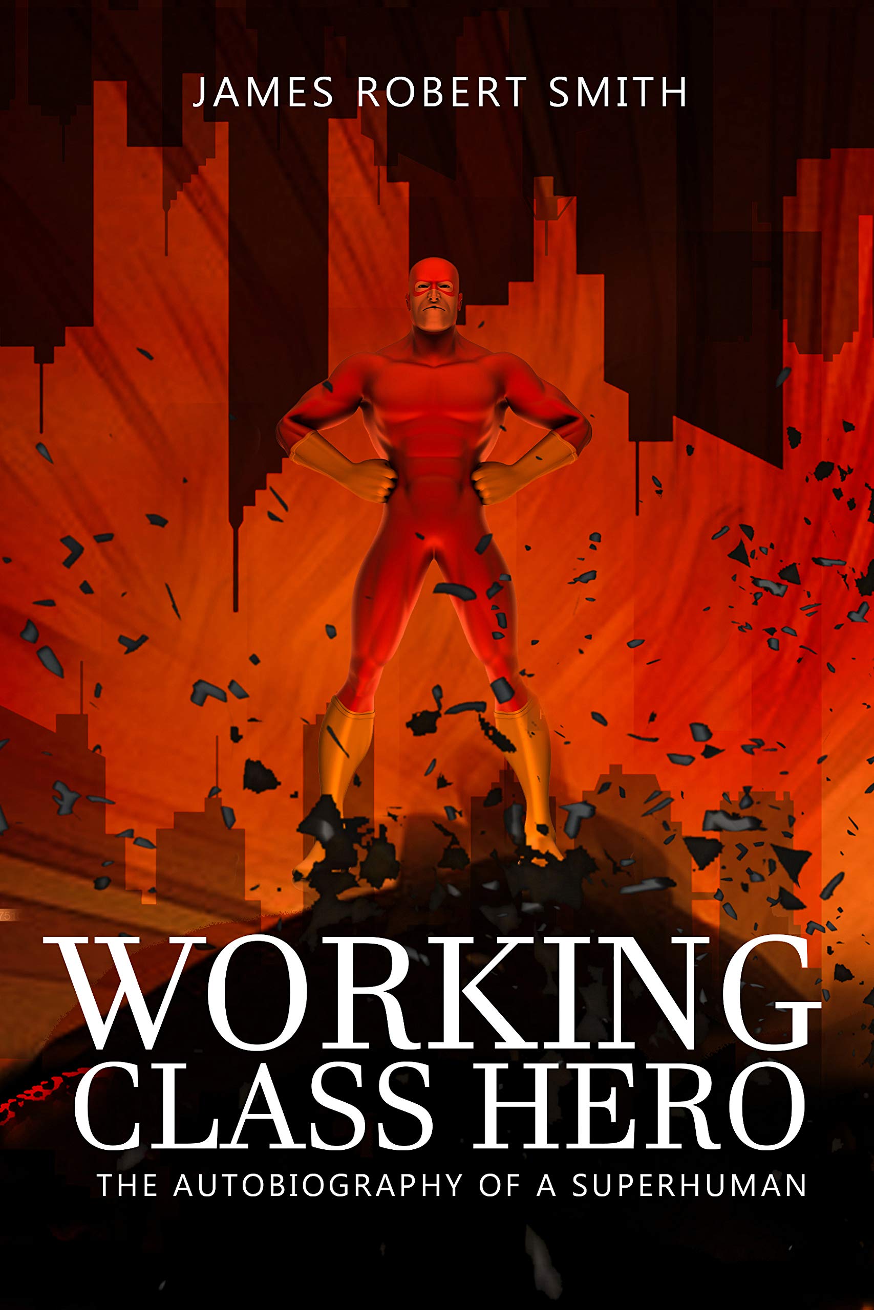 Working Class Hero book cover