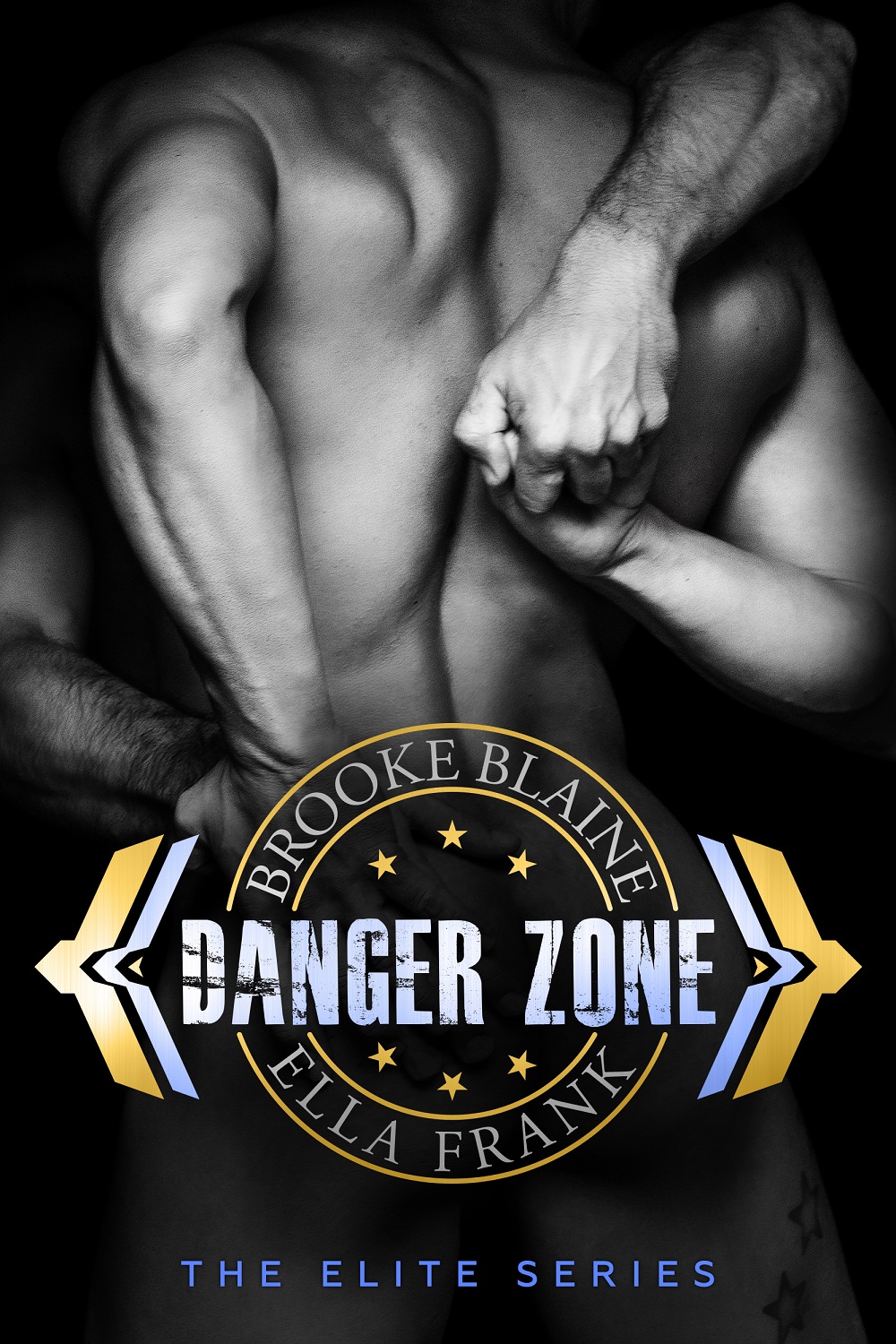 The Elite book cover 1