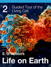 E.O. Wilson's Life on Earth book cover 2