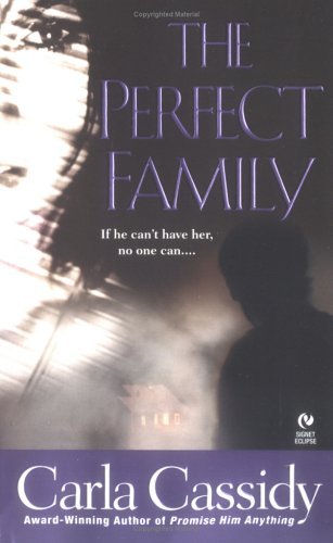 The Perfect Family book cover