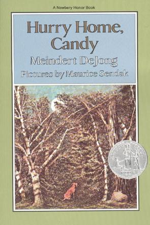 Hurry Home, Candy book cover