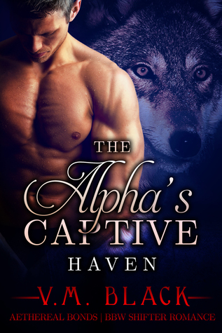 Haven book cover