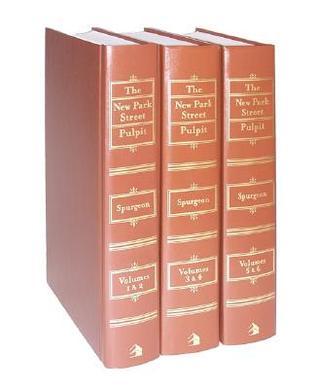 New Park Street Pulpit, The book cover