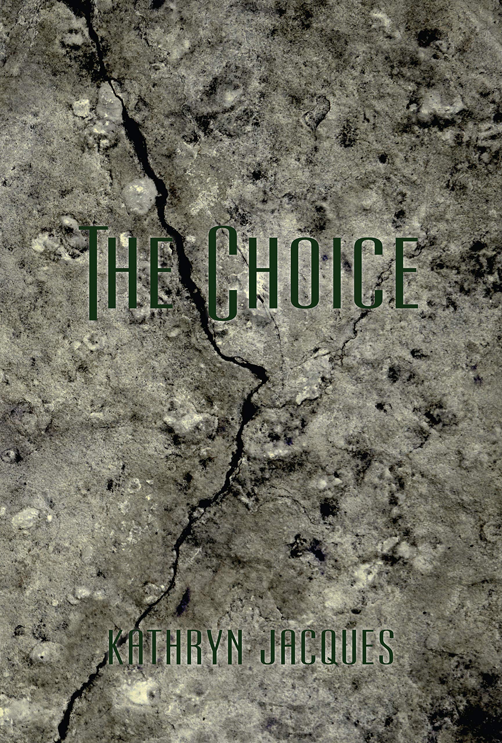 The Choice book cover