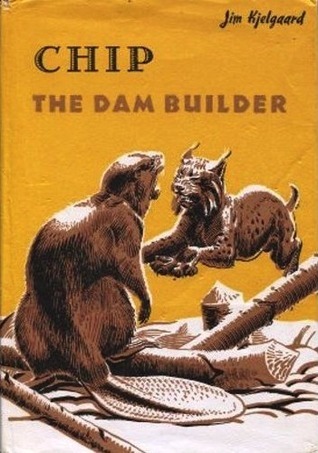 Chip, the Dam Builder book cover