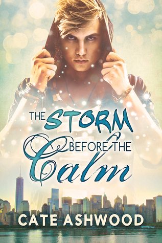The Storm Before the Calm book cover