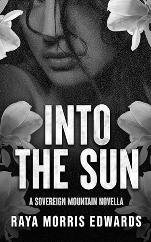 Into the Sun book cover