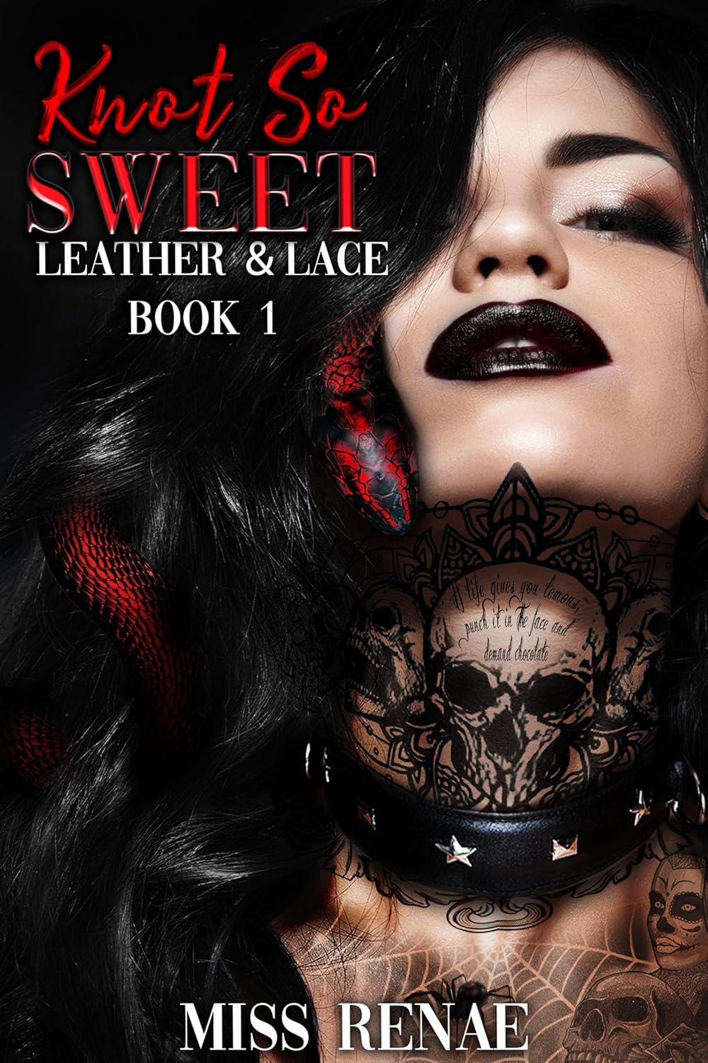 Leather and Lace book cover 1