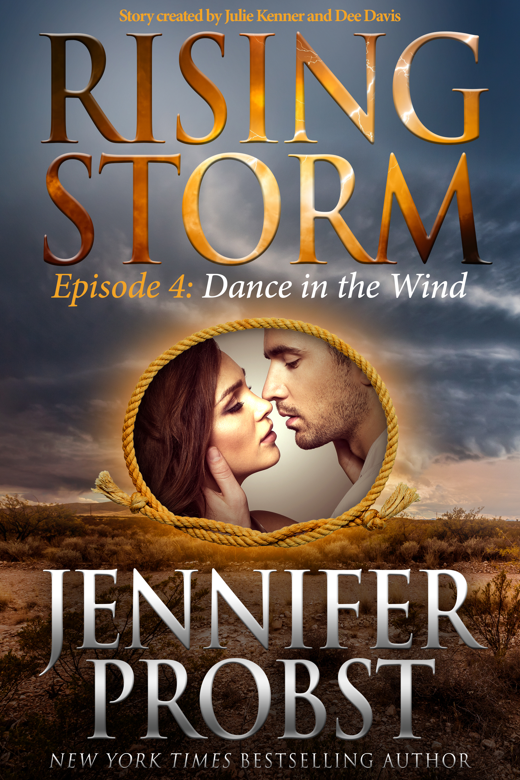 Dance in the Wind book cover