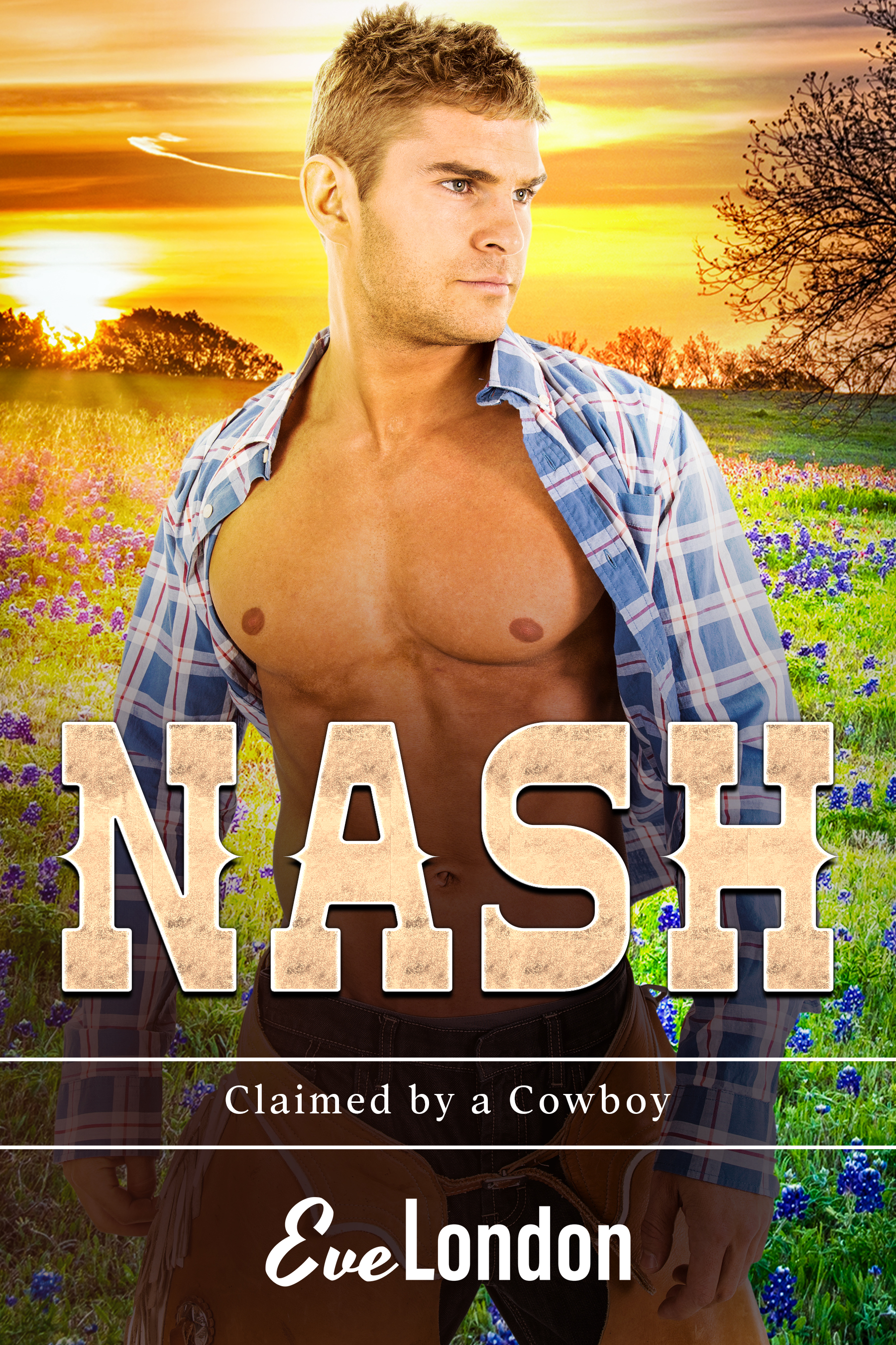 Claimed by a Cowboy book cover 1