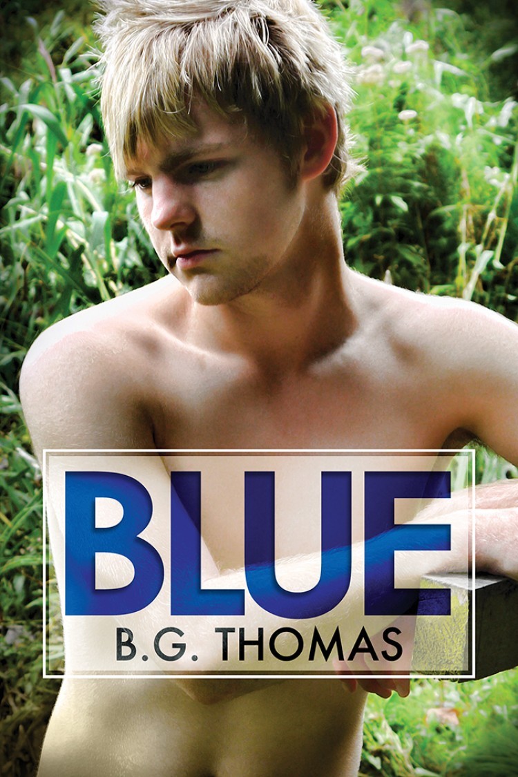 Blue book cover