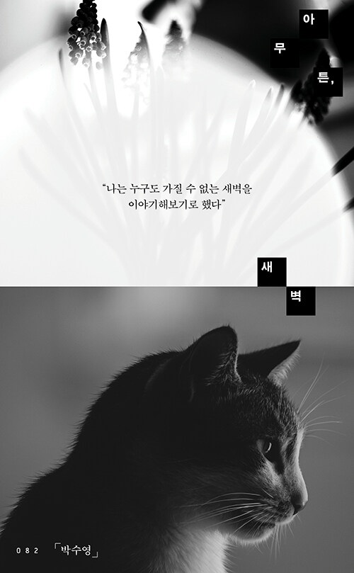 아무튼, 새벽 book cover
