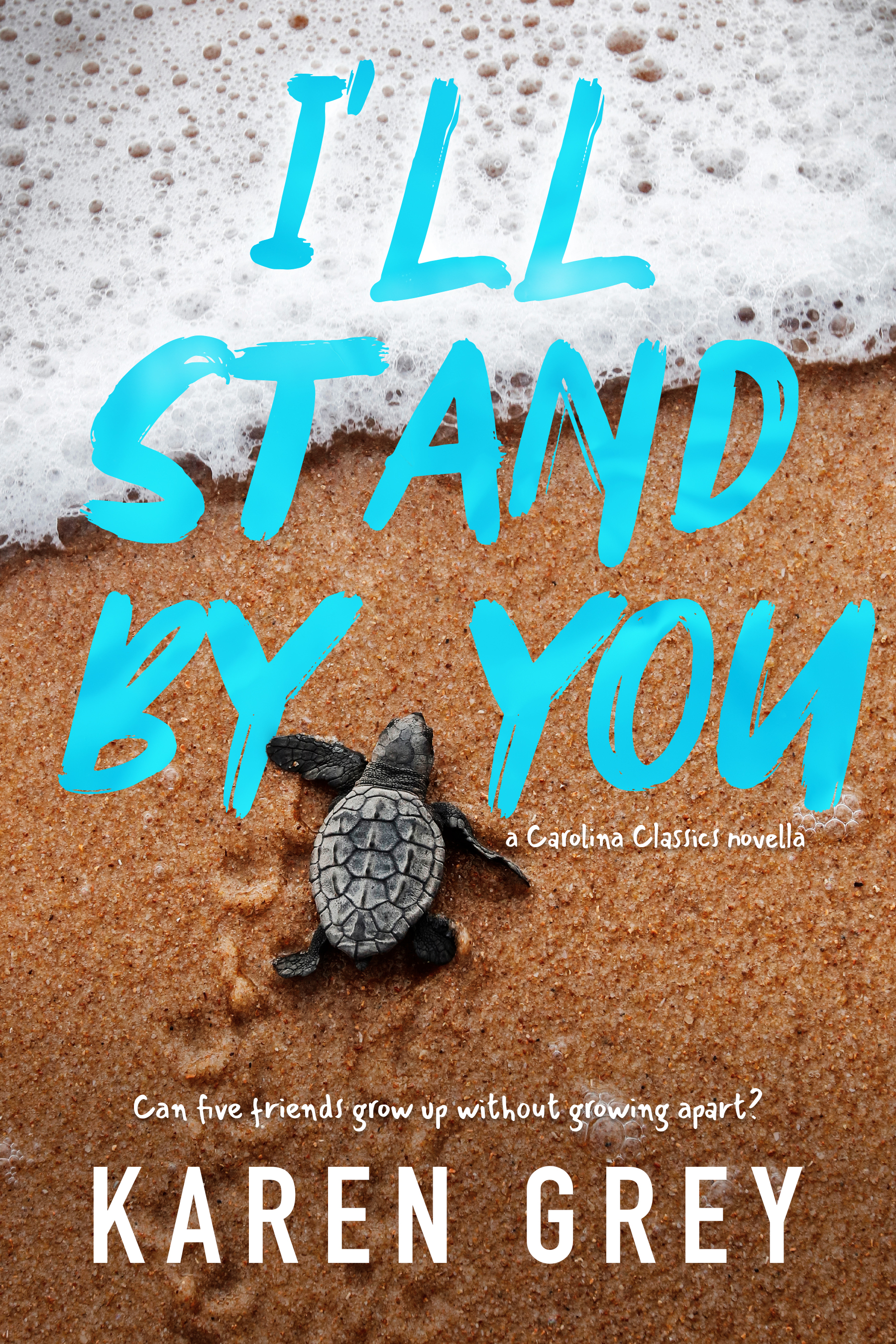 I'll Stand By You book cover