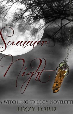Summer Night book cover