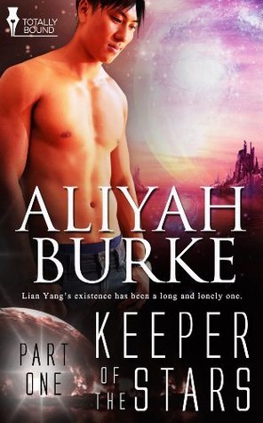Keeper of the Stars book cover