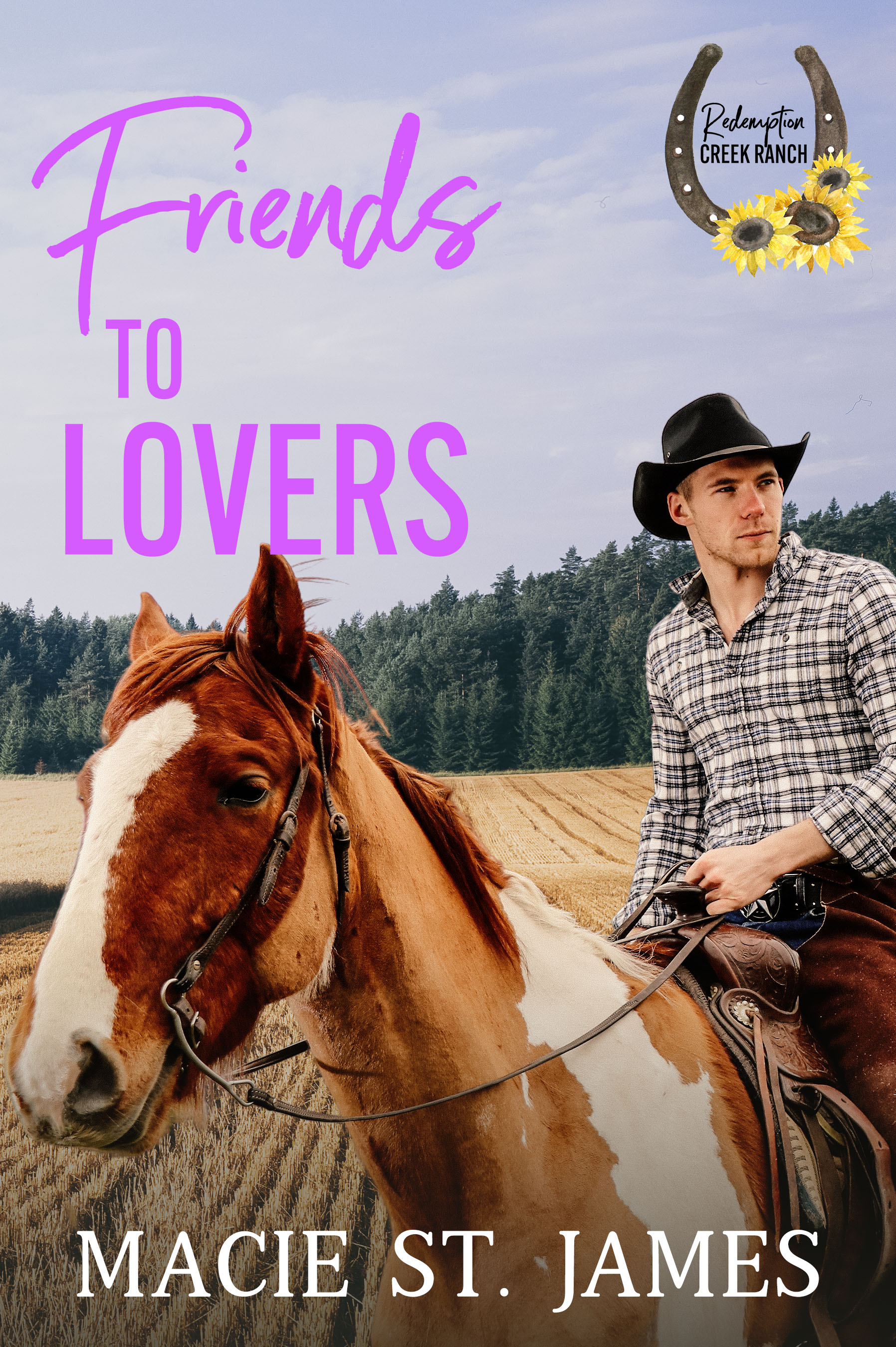 Friends to Lovers at Redemption Creek Ranch book cover