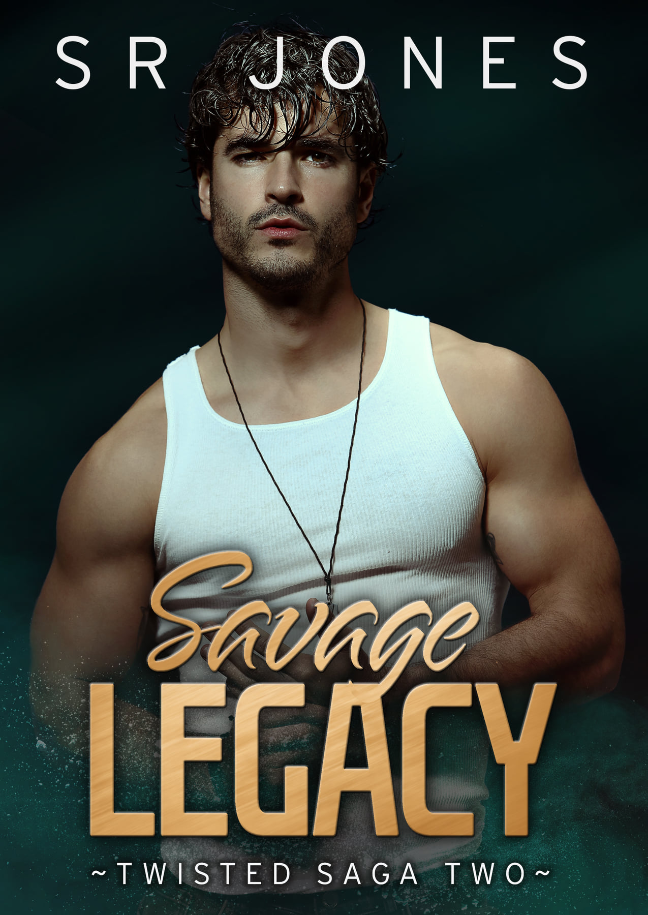 Twisted Trilogy book cover 2