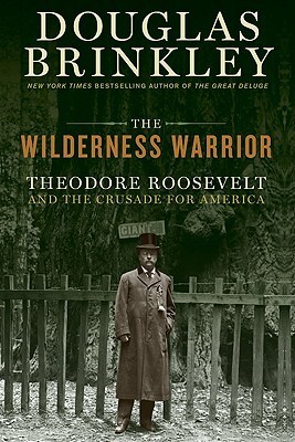 The Wilderness Warrior book cover