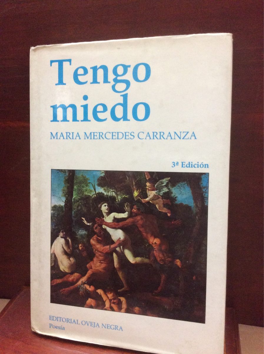 Tengo miedo book cover