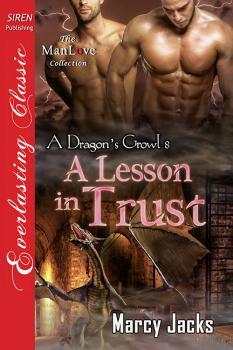 A Lesson in Trust book cover