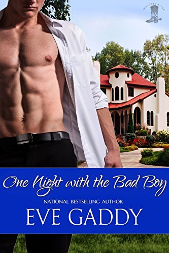 Texas Rebel book cover