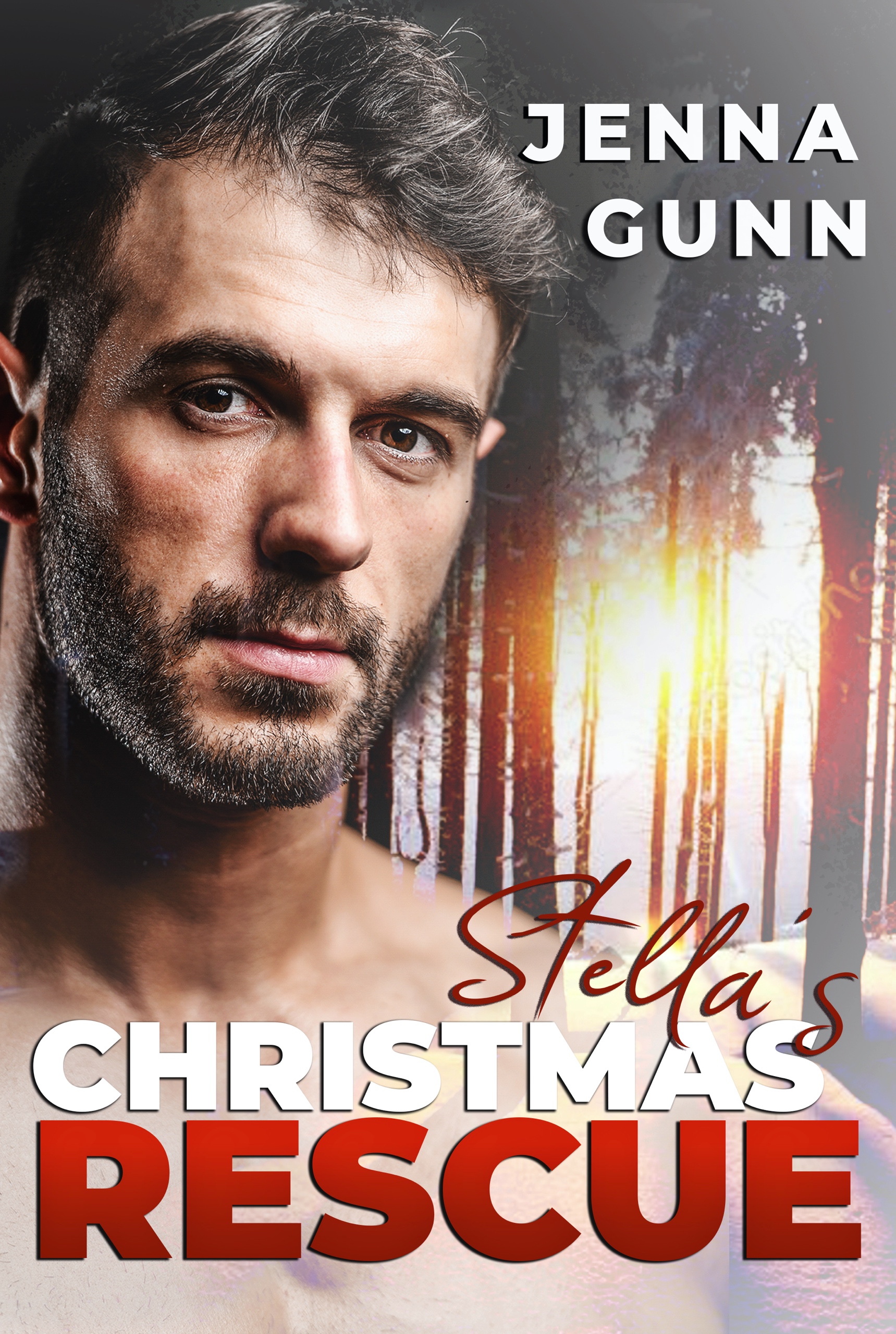 Stella's Christmas Rescue book cover
